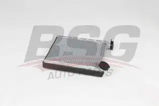 BSG 90530007 Kalorifer Radyatörü