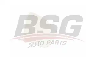 BSG 90910041 Ayna Camı Sağ