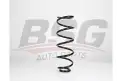 BSG 90305008 Helezon Yayı Ön