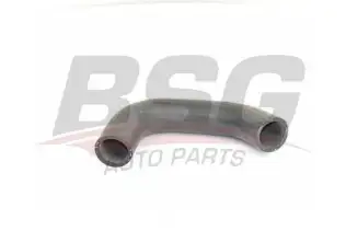 BSG 25720032 Turbo Hortumu