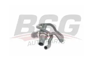 BSG 65720045 Radyatör Hortumu Alt