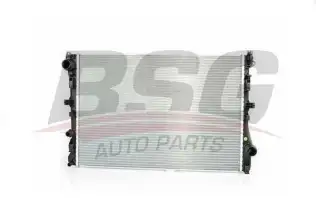 BSG 60520042 Su Radyatörü