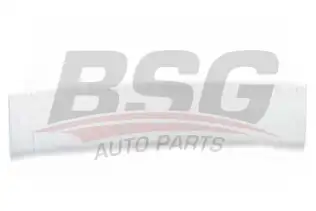 BSG 65925002 Kapı Bandı Ön Sağ