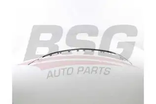 BSG 65922101 Ön Tampon Alt Panjur Nıkelajı