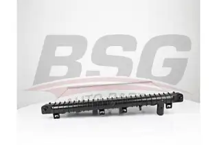 BSG 40520054 Su Radyatörü