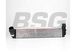 BSG 75535003 Turbo Radyatörü