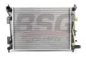 BSG 40520030 Su Radyatörü