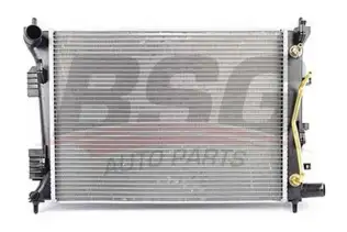 BSG 40520030 Su Radyatörü