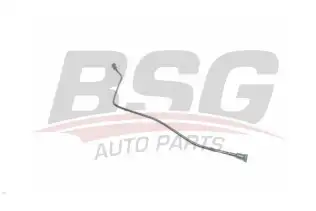 BSG 70725016 Yakıt Borusu