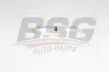 BSG 15130010 Yakıt Filtresi