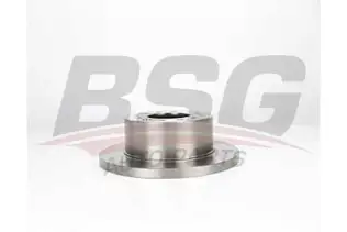 BSG 40210048 Fren Diski Arka