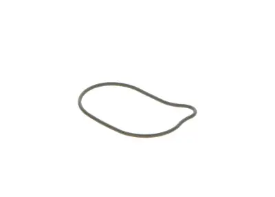 BOSCH 2440210028 O-Ring - 8. Görsel