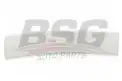BSG 65924021 Kapı Bandı Ön Sol