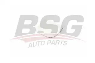 BSG 90910008 Ayna Camı Sol