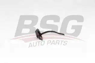 BSG 60975076 Kapı Gergisi