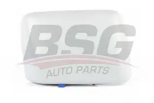 BSG 65915017 Ayna Kapağı Sağ