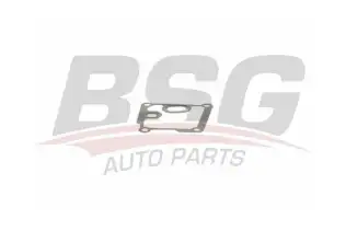 BSG 15116005 Silindir Kapak Ara Gövde Contası