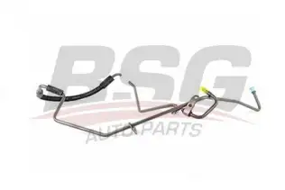 BSG 30725036 Direksiyon Hortumu