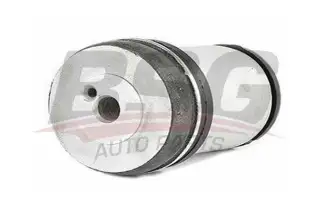 BSG 65700076 Dingil Burcu Arka