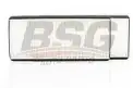 BSG 60145007 Polen Filtresi