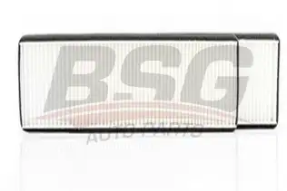 BSG 60145007 Polen Filtresi