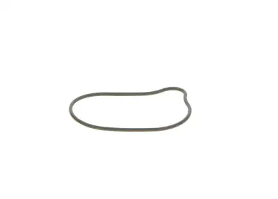 BOSCH 2440210028 O-Ring - 5. Görsel