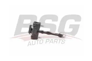 BSG 70975013 Kapı Gergisi Ön