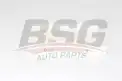 BSG 25145001 Polen Filtresi