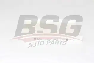 BSG 25145001 Polen Filtresi