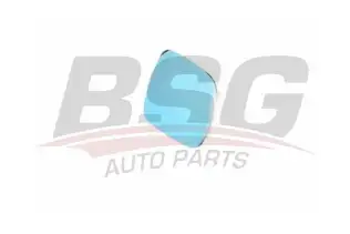 BSG 90910029 Ayna Camı Sağ