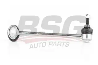 BSG 60310007 Viraj Askı Rotu Ön