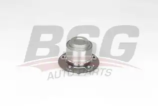BSG 60600020 Porya Ön