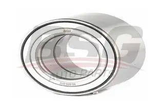 BSG 65605019 Porya Rulmanı Arka