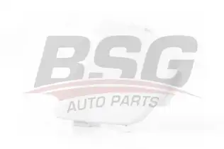 BSG 30922089 Çeki Demir Kapağı Ön