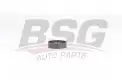 BSG 75615009 V Kayış Gergi Rulmanı