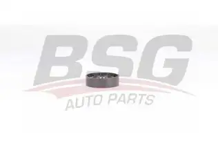 BSG 75615009 V Kayış Gergi Rulmanı