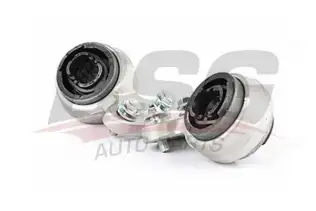 BSG 15700007 Salıncak Burcu