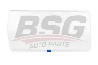 BSG 60801017 Far Camı Sağ