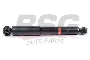 BSG 40300032 Amortisör Arka