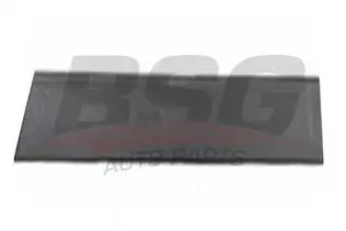 BSG 65925040 Kapı Bandı Arka Sol