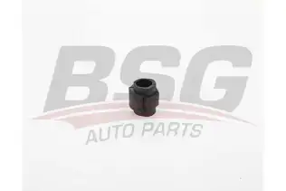 BSG 90700227 Viraj Demir Lastiği Ön