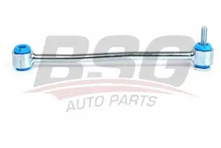 BSG 30310094 Viraj Askı Rotu Arka