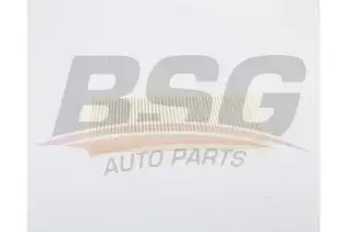 BSG 15145017 Polen Filtresi