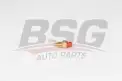 BSG 25840012 Hararet Müşürü