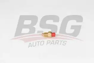 BSG 25840012 Hararet Müşürü