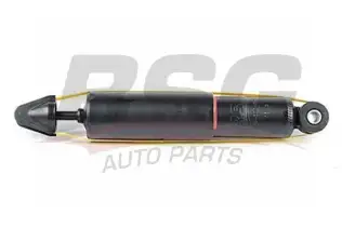 BSG 40300054 Amortisör Ön