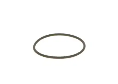 BOSCH F00N201306 O-Ring - 2. Görsel