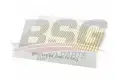 BSG 70145010 Polen Filtresi