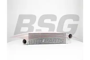 BSG 15535018 Turbo Radyatörü
