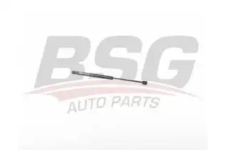 BSG 15980036 Bagaj Amortisörü